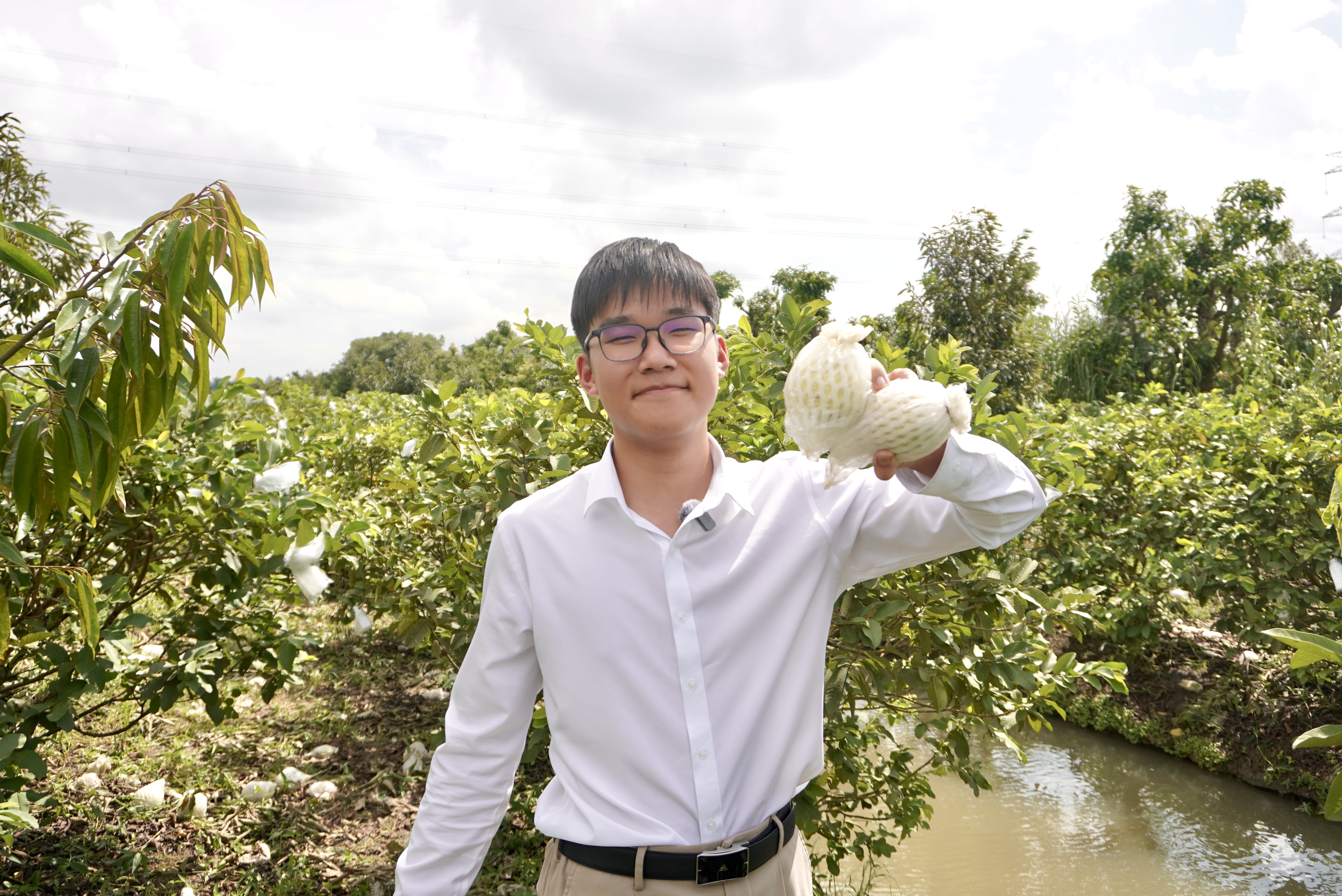 AgriFruit founder visiting a guava orchard